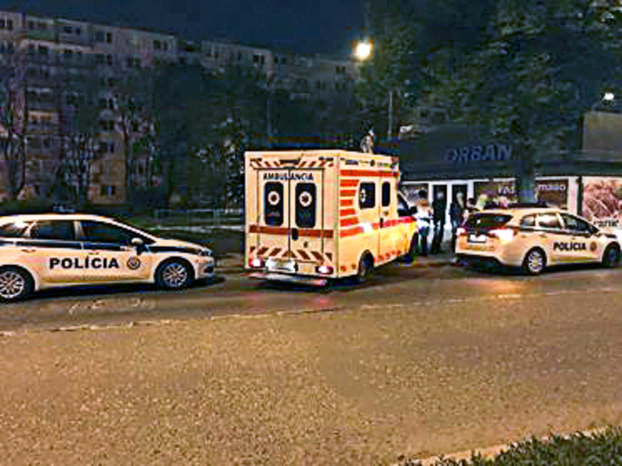 Hlodavec sa dostal až na rušnú cestu.