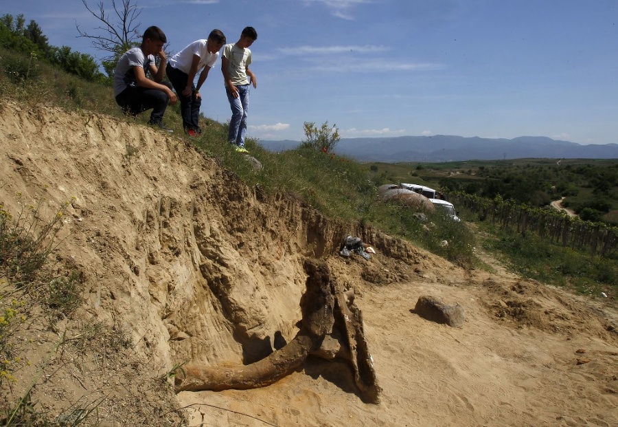 Paleontológovia z Bulharska a