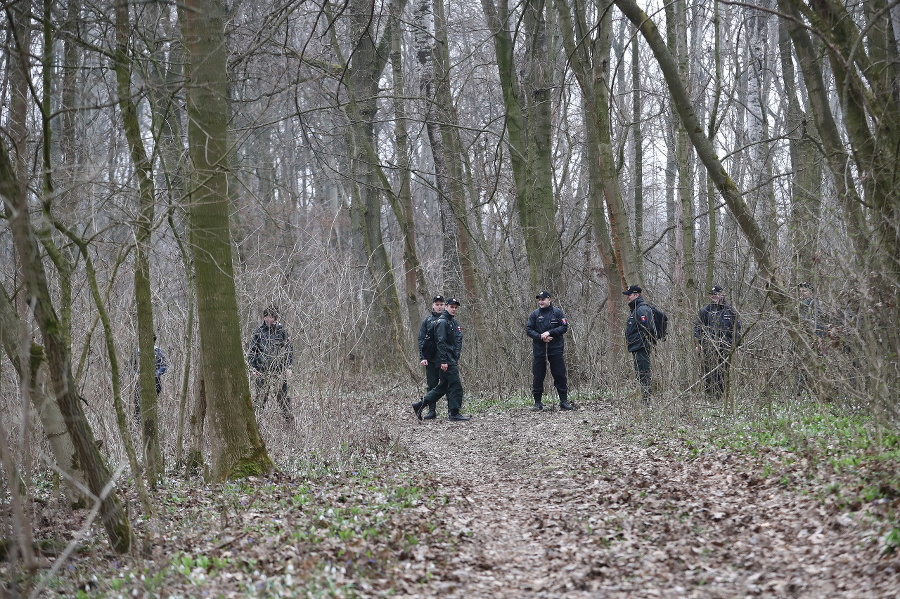 Polícia prehľadáva les vo