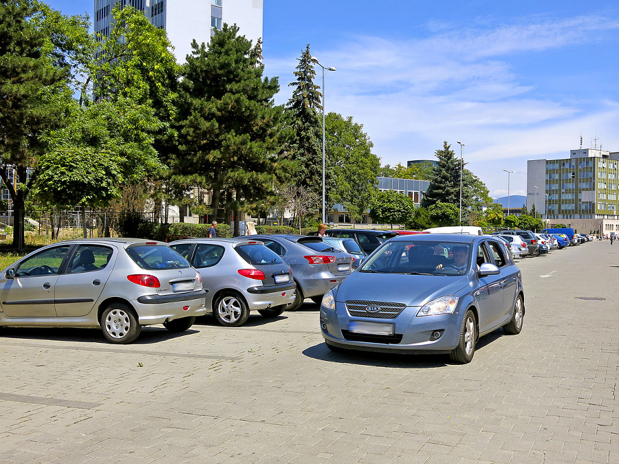 Spoplatnenie parkovania súkromnou firmou