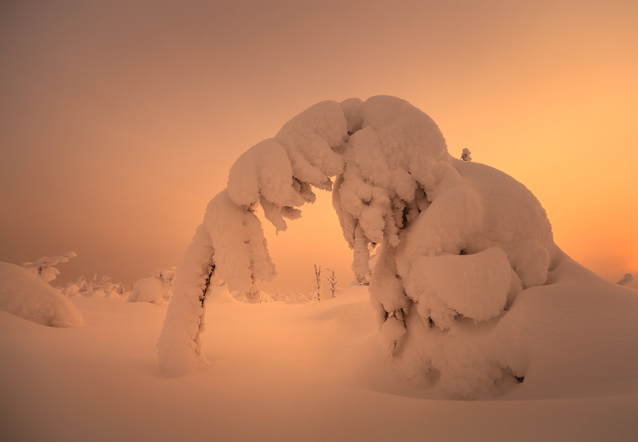 Fotograf Valtteri Mulkahainen nevychádzal