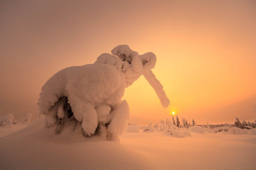 Fotograf Valtteri Mulkahainen nevychádzal