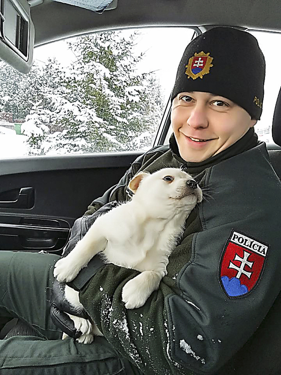 Rozkošného chlpáča vzali policajti do bezpečia. Psíka našli pod jedným zo stromov pri Novej Ľubovni.