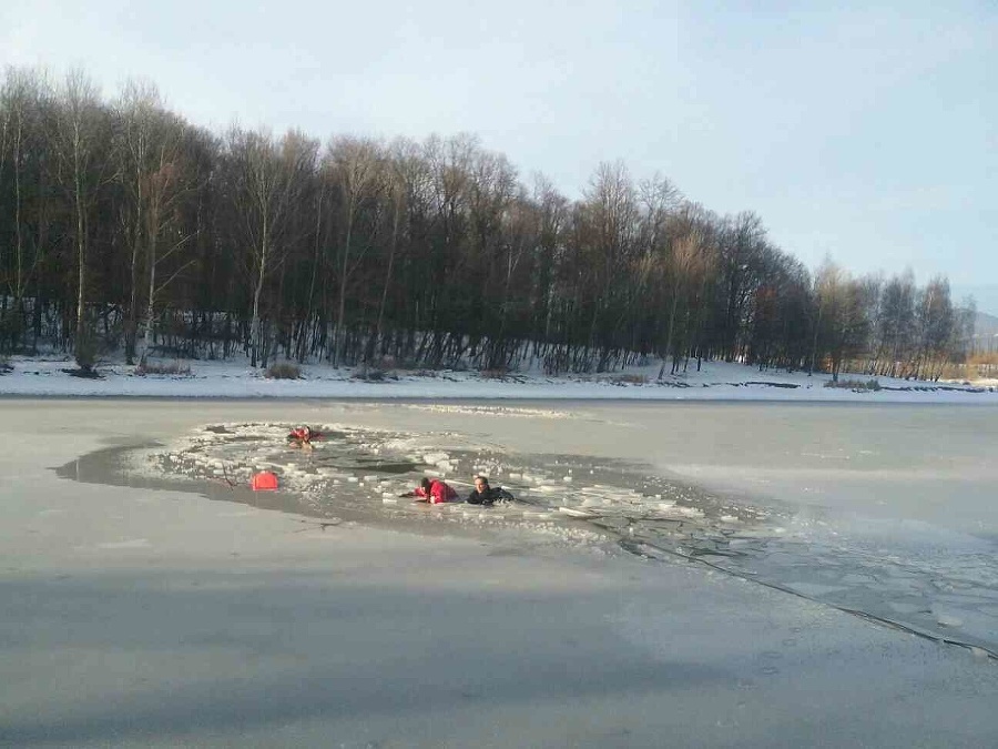 Záchrana jeleňa z vodnej