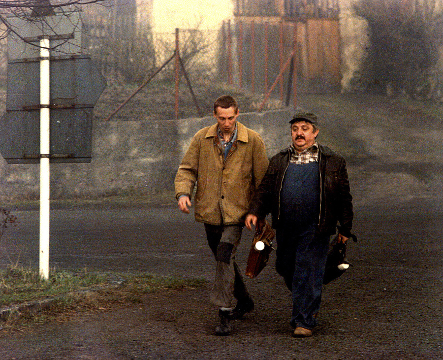 1985 - Labudu si diváci obľúbili najmä vďaka snímke Vesničko má středisková.
