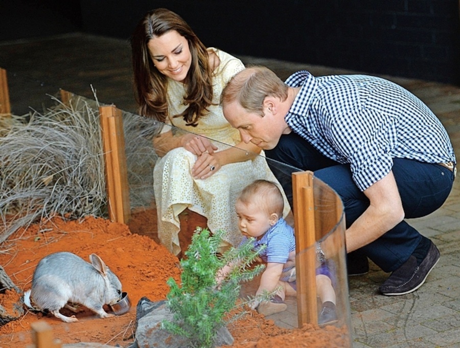 Návšteva zoo patrila k