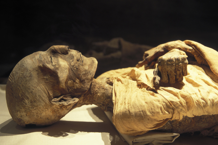 Nález v tele múmie