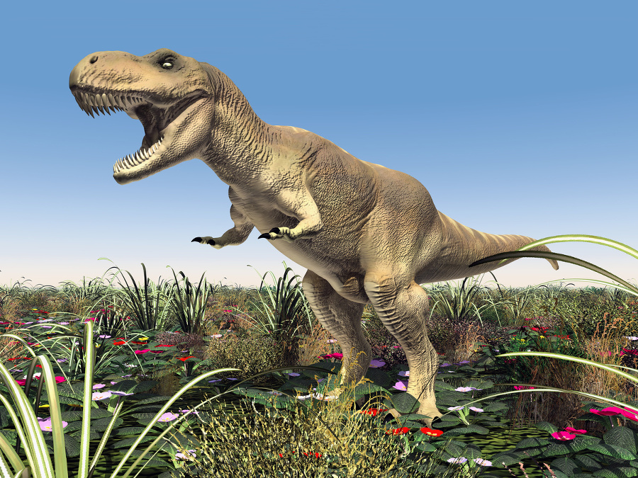 Tyranosaurus rex.