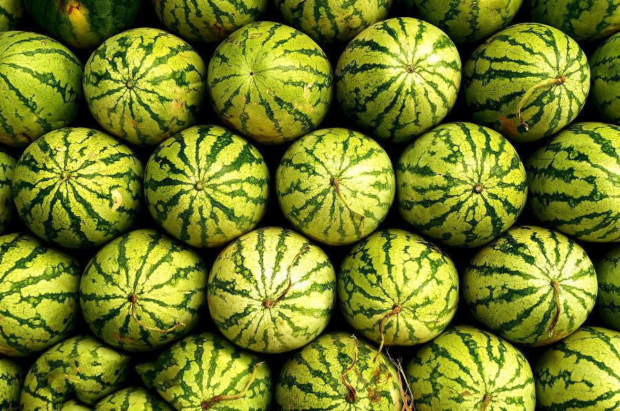 Fresh organic Watermelon cultivated
