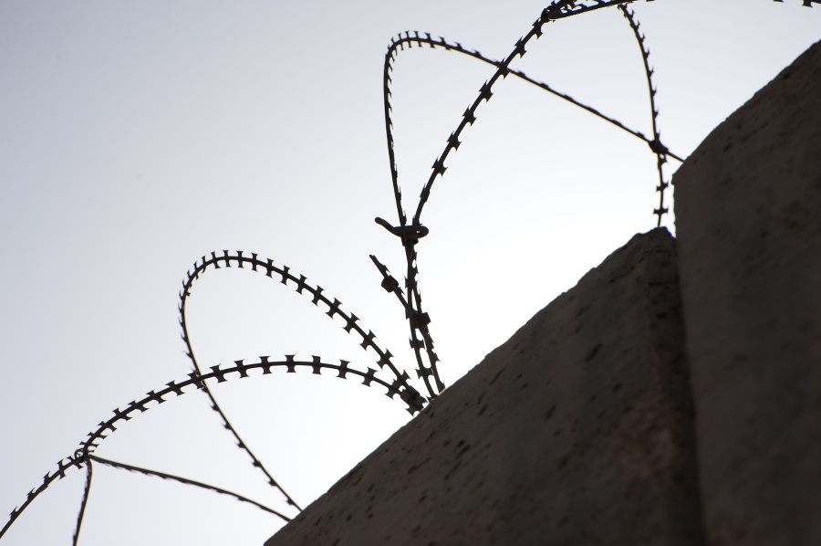 Coils of razor wire