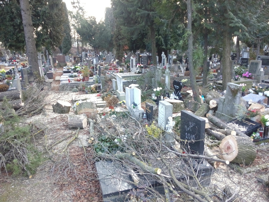 Hrôza na cintoríne v