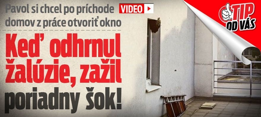 karusel