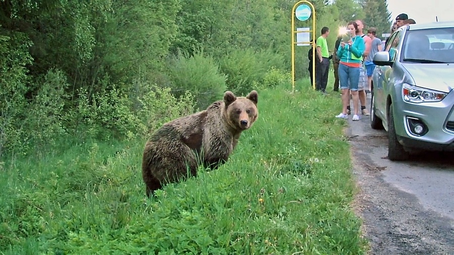 Nebezpečné fotenie: Inga sa