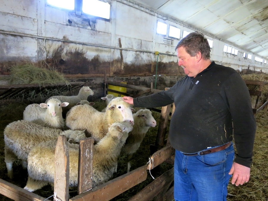 Juraj so svojimi ovcami.
