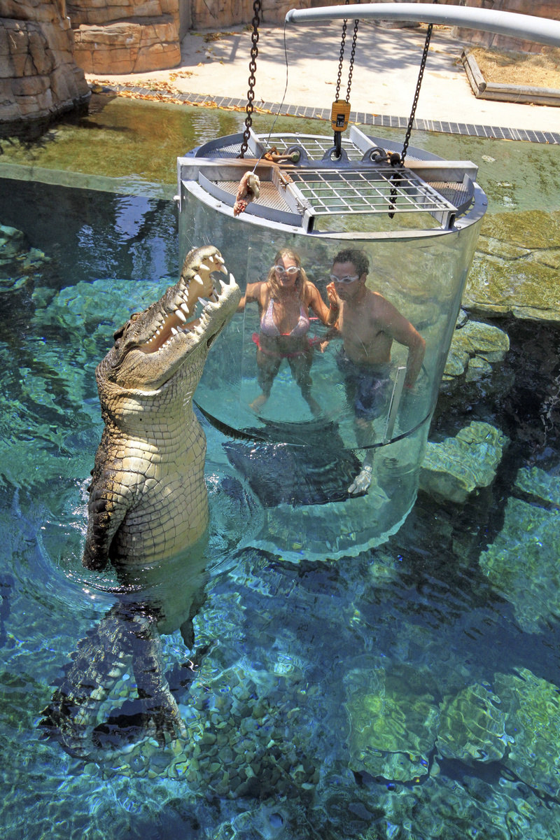 Krokodíla počas potápanie pravidelne