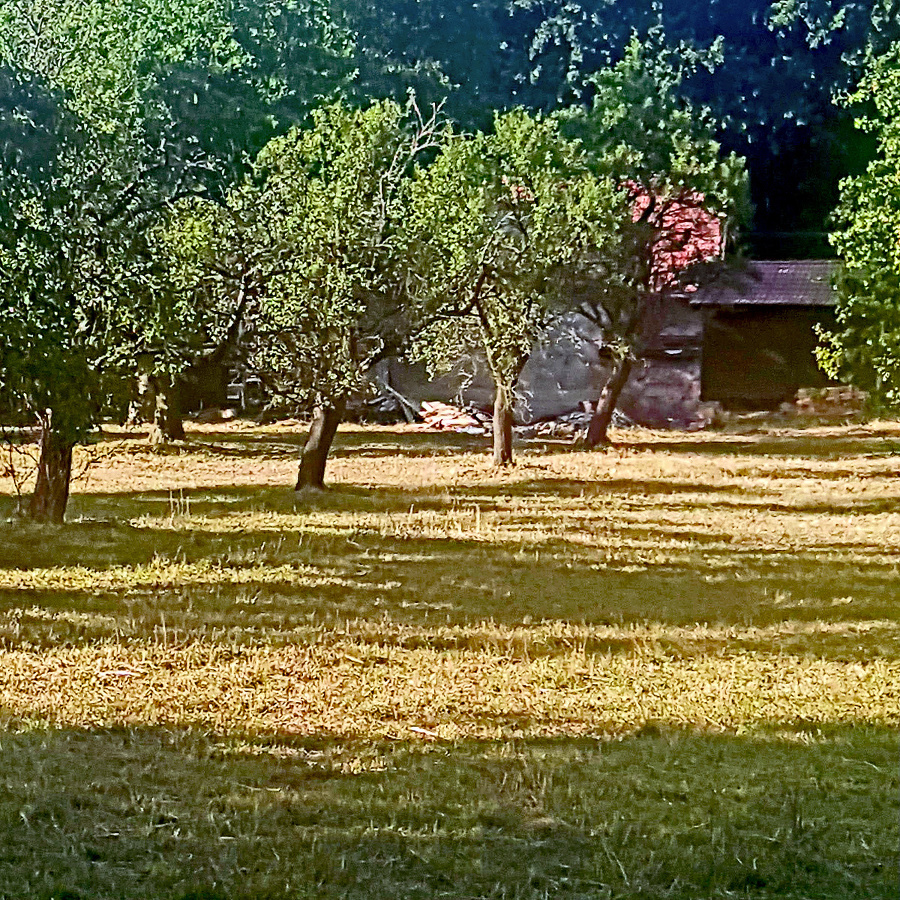 Strana Kotlebu kúpila 25