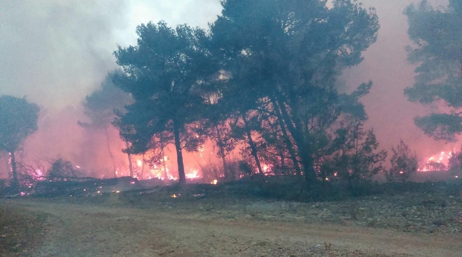 Chorvátsko sužujú požiare.