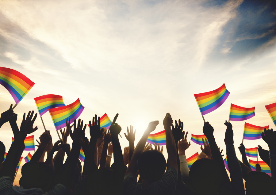 Gay Rainbow Flag Crowd