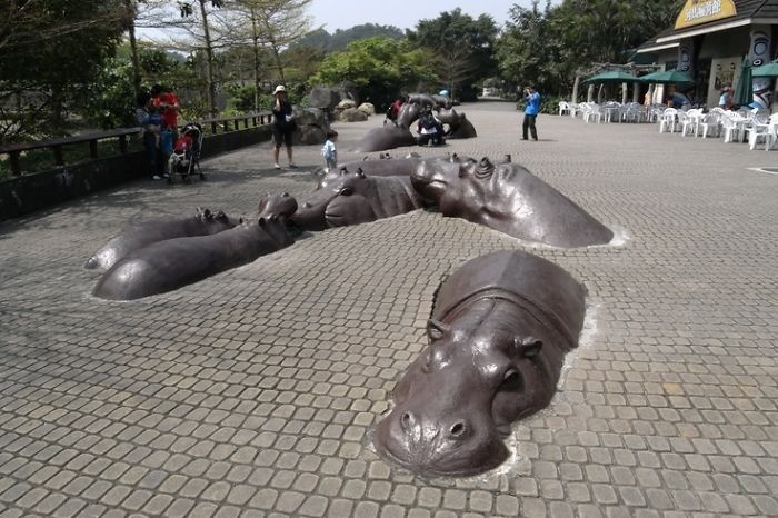 V Taipeiskej ZOO plávajú