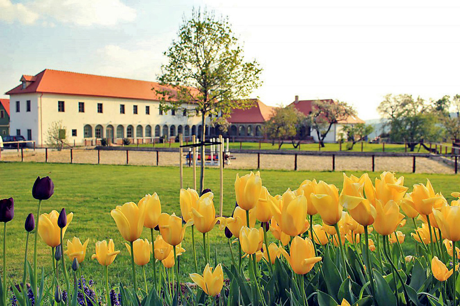 Slávnostná hostina sa konala