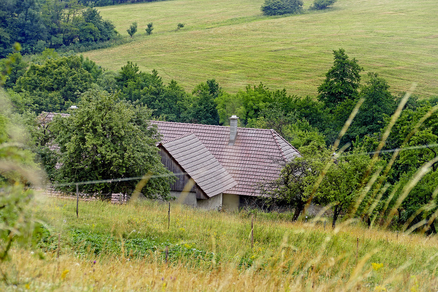 Deti bývali úplne v