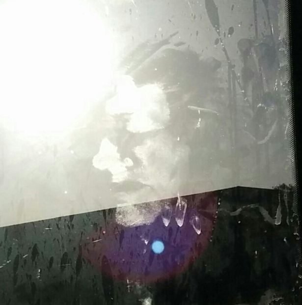 Obraz na okne muža