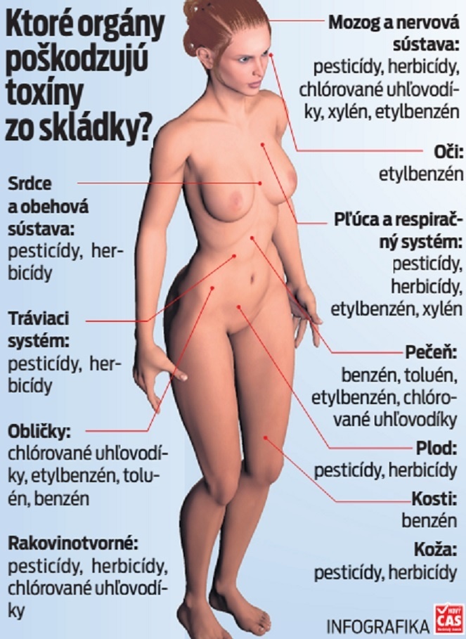 Ktoré orgány poškodzujú toxíny