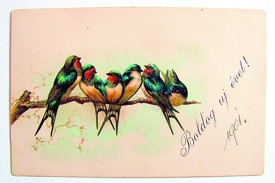 Maľovaná pohľadnica s vtáčikmi
