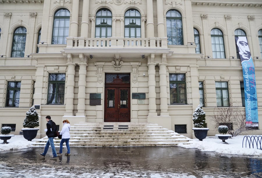 Východoslovenské múzeum