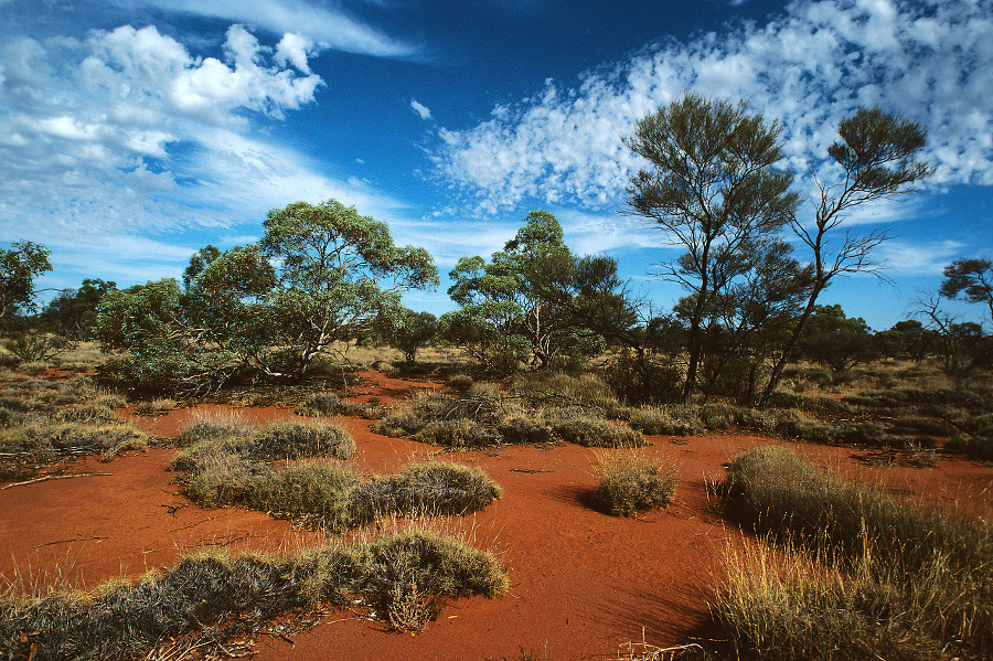 Austrália.