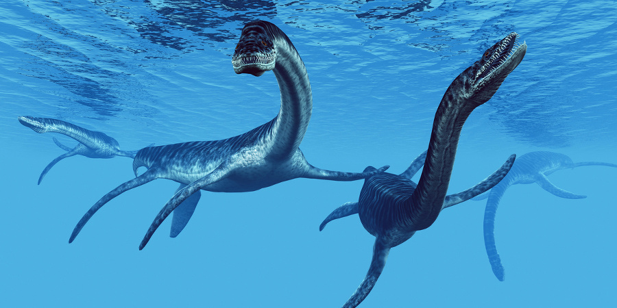 Plesiosaurus: Je možné, žeby