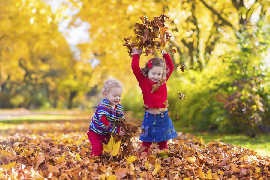 Он любит играть листьями. Бэби сад осень. Дети играют с листьями. Листья золотые для детей. Autumn Kids playing.