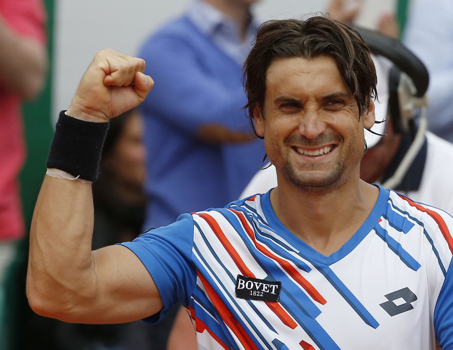 David Ferrer mal z