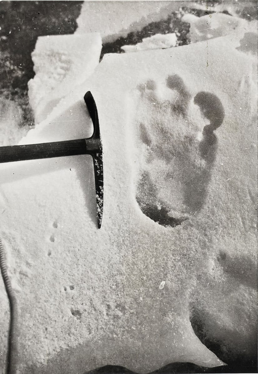 1951: Fotografia stopy snežného