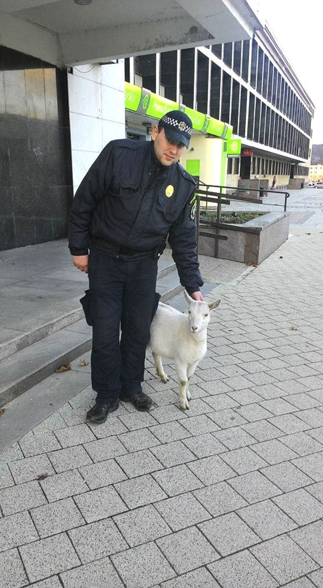 Mestský policajt s kozou,