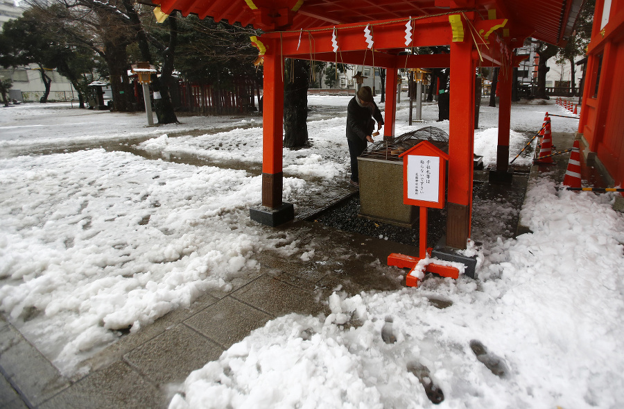 Sneh pri šintoistickej svätyni