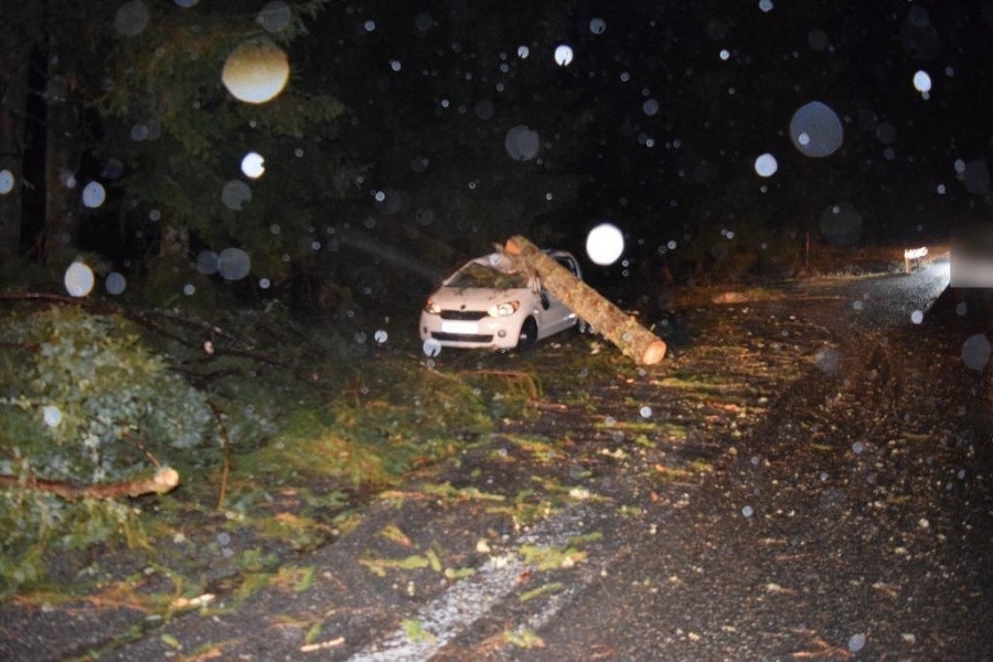 Vyvrátený strom spadol na