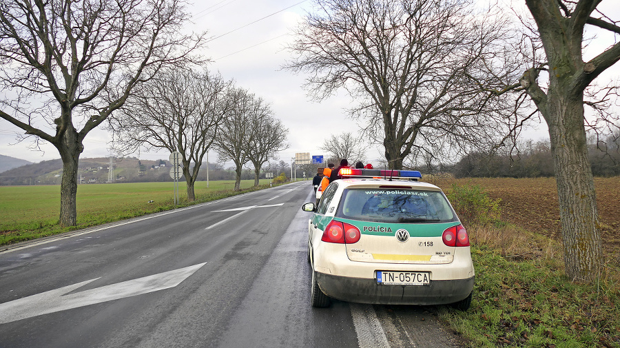 Orechy pri ceste zasadili