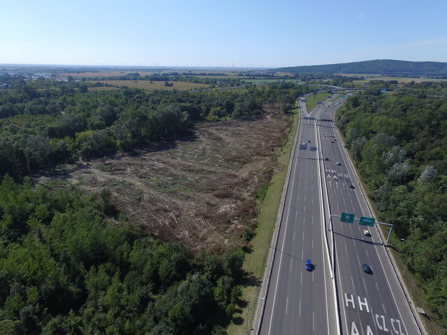 Štátne lesy vyrúbali 1 300