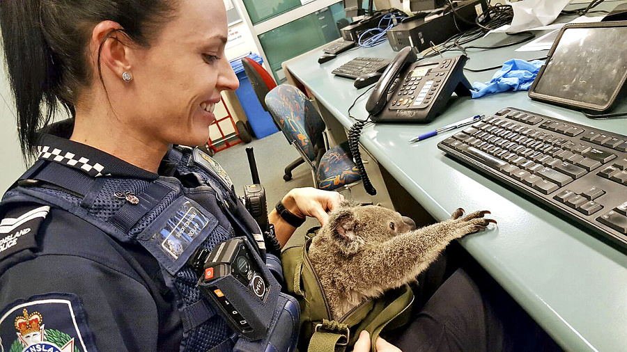 Alfreda na policajnej stanici