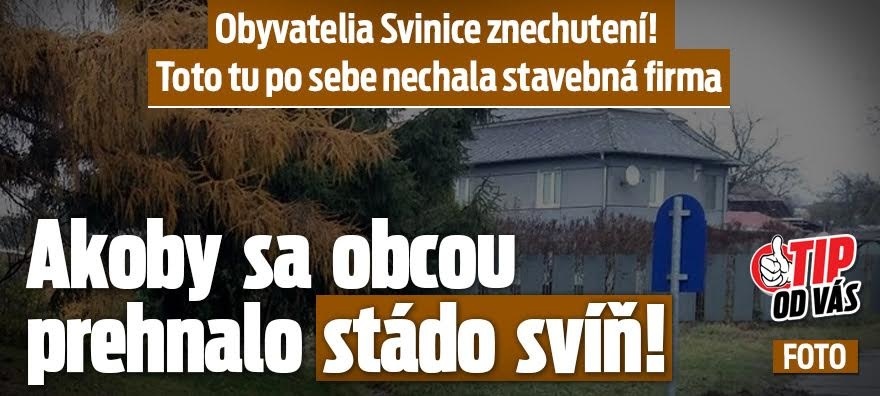 Svinica