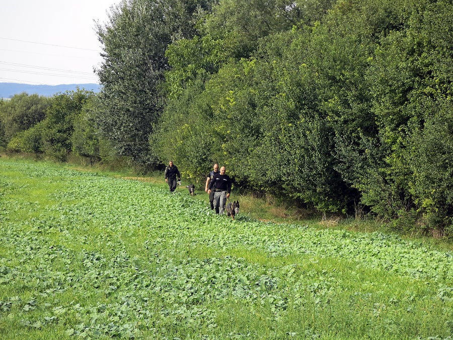 Kukláči, policajti i psovodi