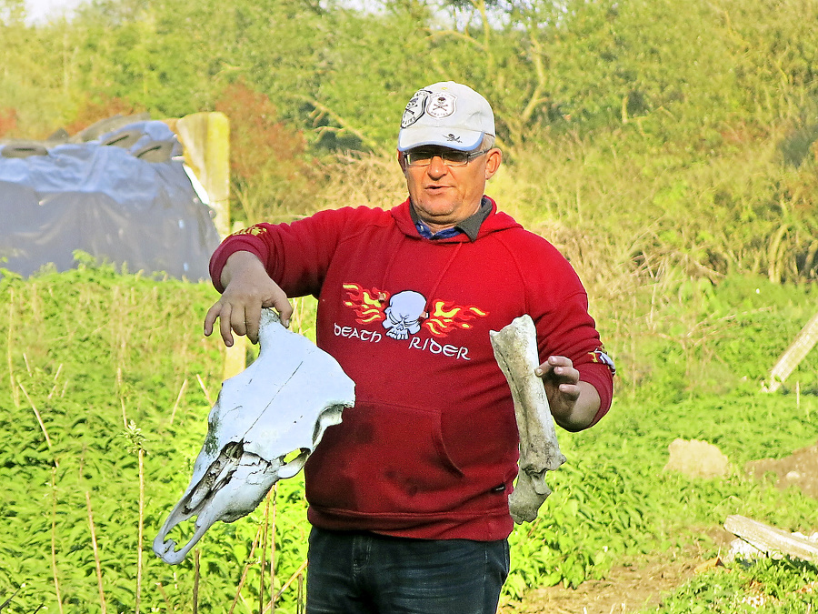 Marek Panoc (44) ukazuje kosti zakopaných kráv.