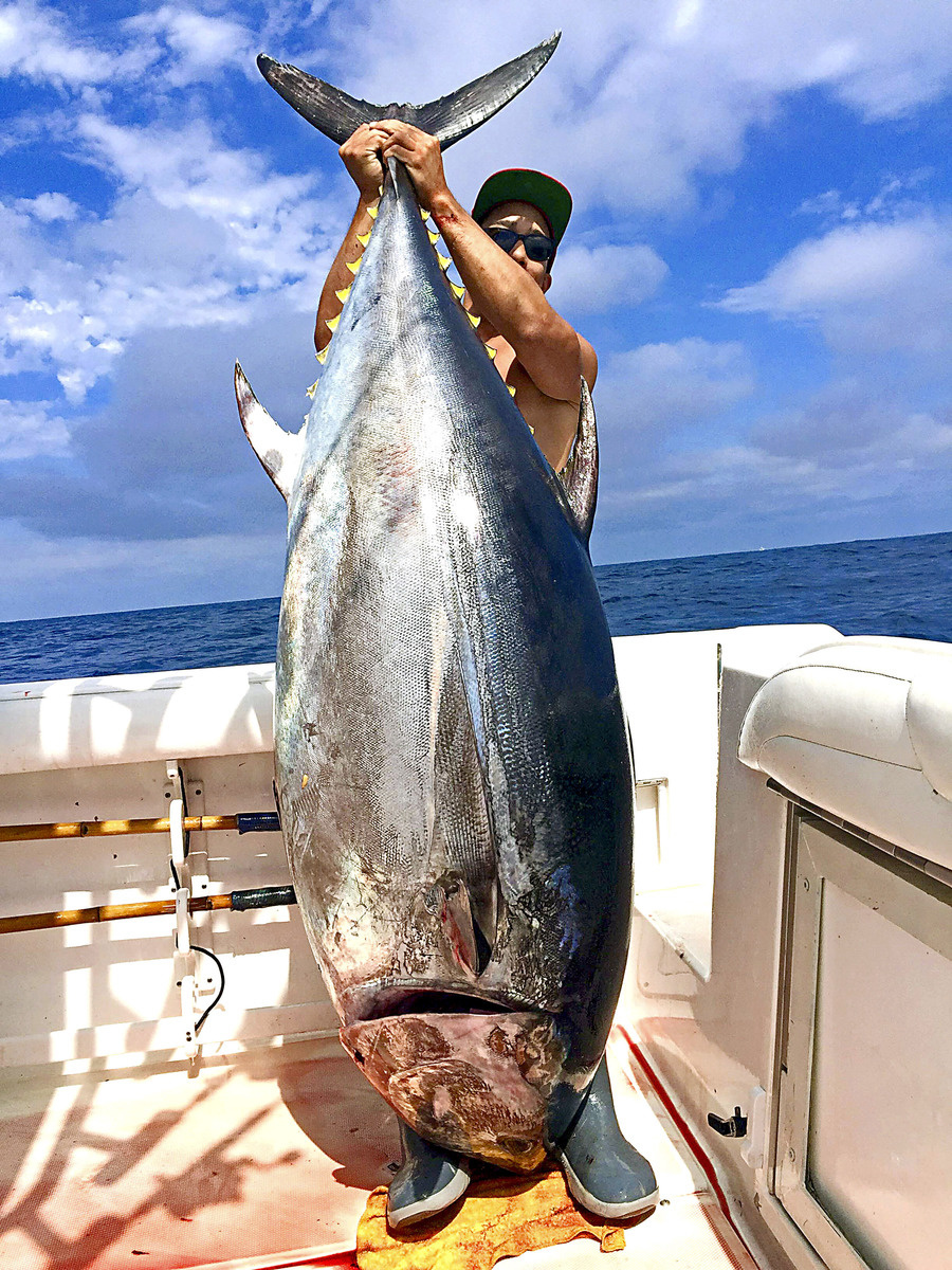 Podarilo chytiť gigantického tuniaka