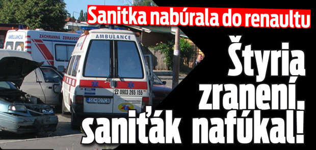 sanitka