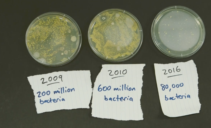 Až 600 miliónov baktérií