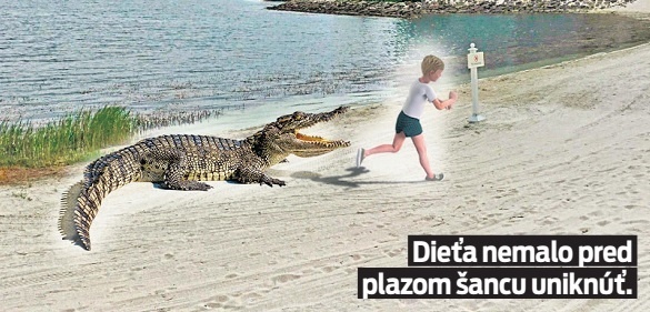 Dieťa nemalo pred plazom