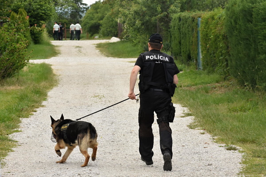 Polícia pátra po väzňovi