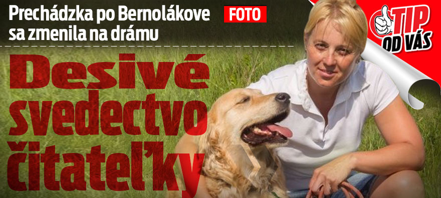 svedectvo