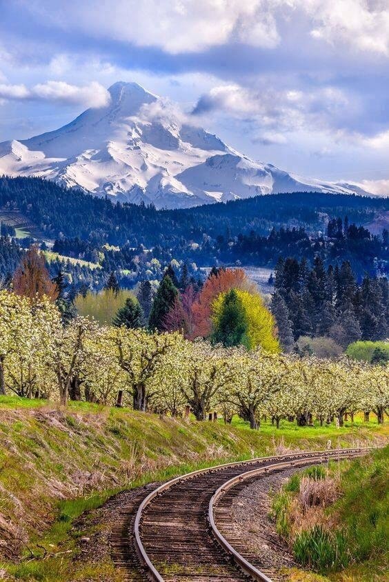 slovenský oregon